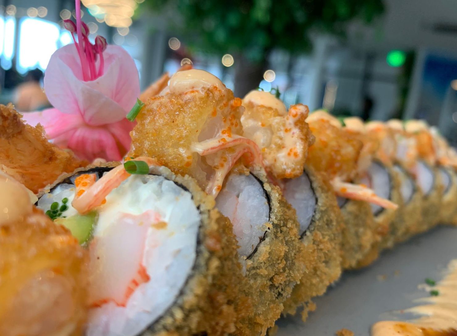 Sushi rolls